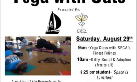 Yoga with Cats Fundraiser for the SPCA this weekend at The Zen House